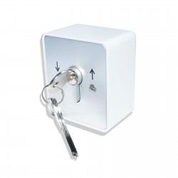 Schlüsselschalter 2-Kanal als Aufputz- oder Unterputzschalter